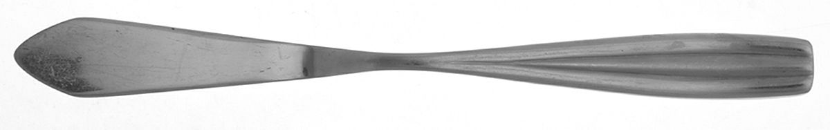 Papaya-Mirror (Stainless) Flat Handle Master Butter Knife by Studio William-1