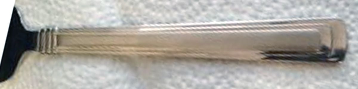 Colonnade Sand (Stainless) Fork by Splendide-1