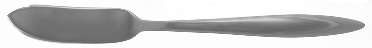 Arrow (Stainless) Flat Handle Master Butter Knife by Splendide-1