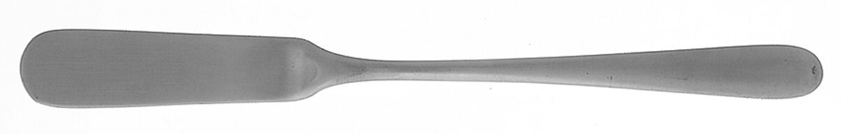 Lucerne (Stainless) Flat Handle Master Butter Knife by Splendide-1