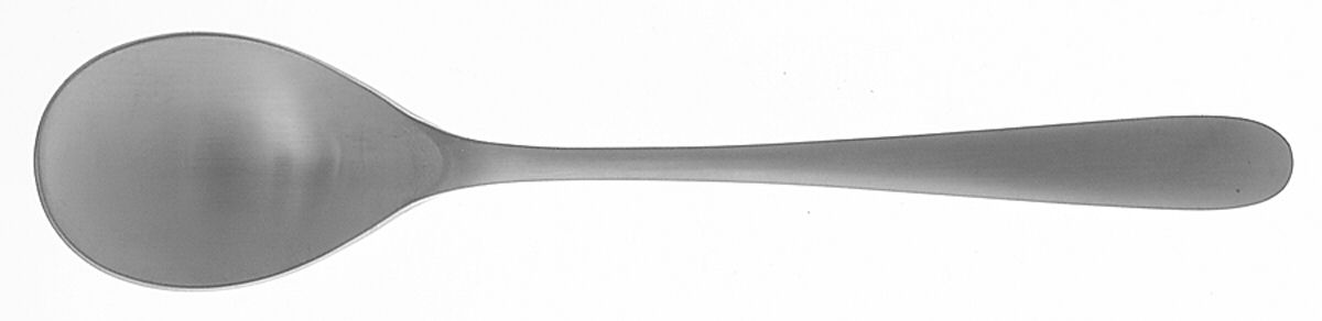 Lucerne (Stainless) Teaspoon by Splendide-1