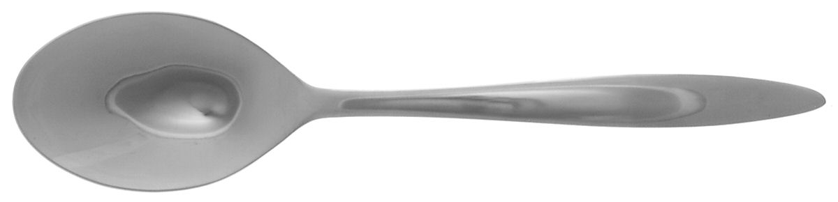 Oslo (Stainiless) Solid Serving Spoon by Splendide-1