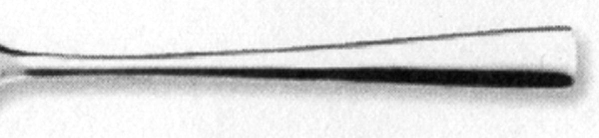 Korfu (Stainless) Fork by Sola-1