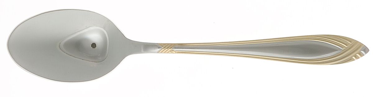 SPL21 (Stainless) Teaspoon by Splendide-1