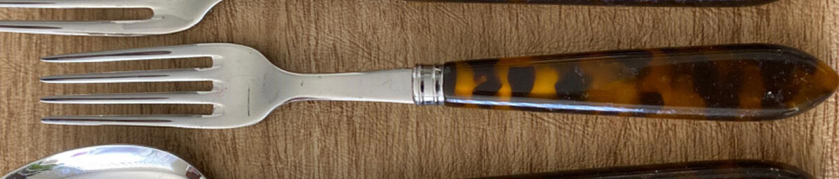 Tortoise (Stainless) Individual Salad Fork by Sabre-1