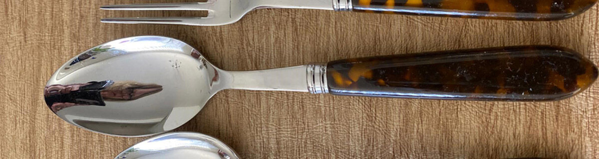 Tortoise (Stainless) Solid Serving Spoon by Sabre-1