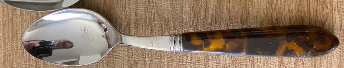 Tortoise (Stainless) Place/Oval Soup Spoon by Sabre-1
