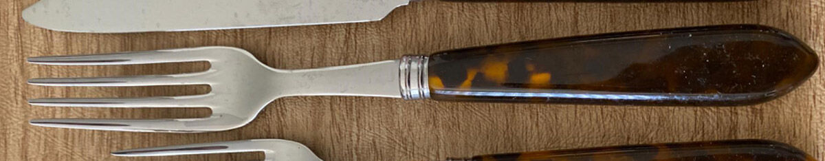 Tortoise (Stainless) Fork by Sabre-1