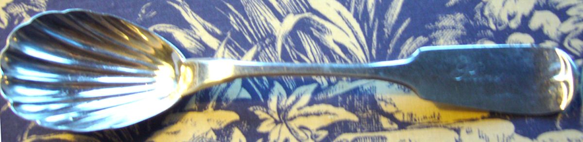 S1W2 (Coin) Sugar Shell Spoon by Sunderlin & Weaver-1