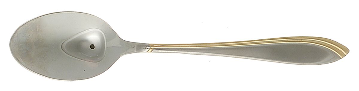 Spl24 (Stainless, Gold Accent) Teaspoon by Splendide-1