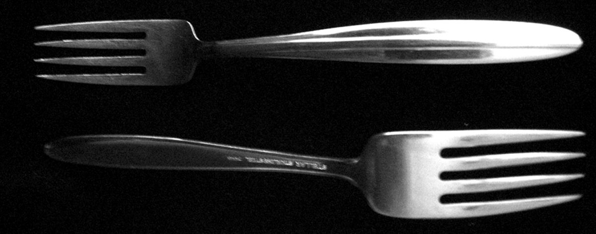 SRF3 (Stainless) Fork by Stellar-1