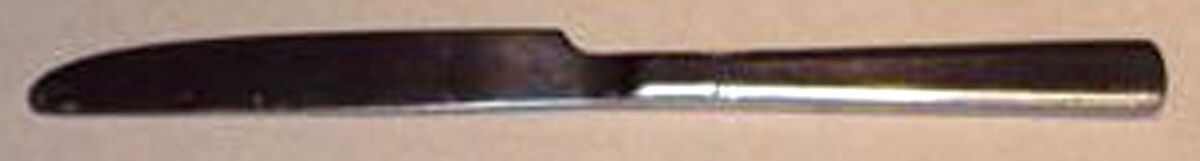 SPL26 (Stainless, Glossy) New French Hollow Knife by Splendide-1