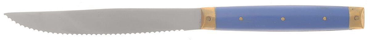 Colorama-Blue (Stainless) Individual Solid Handle Steak Knife by Stanley Roberts-1