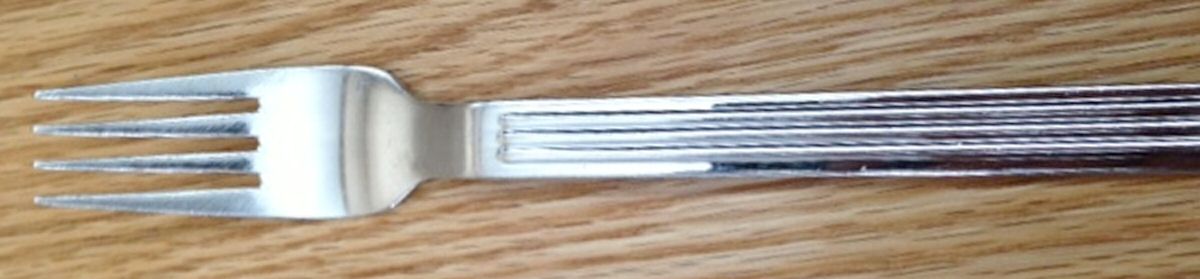 SPL29 (Stainless) Fork by Splendide-1