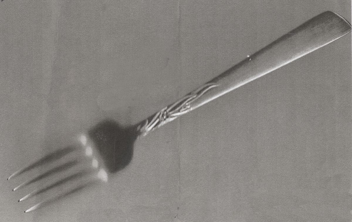 SOO15 (Stainless) Fork by Sohnaco-1