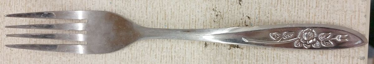 SRB285 (Stainless) Fork by Stanley Roberts-1