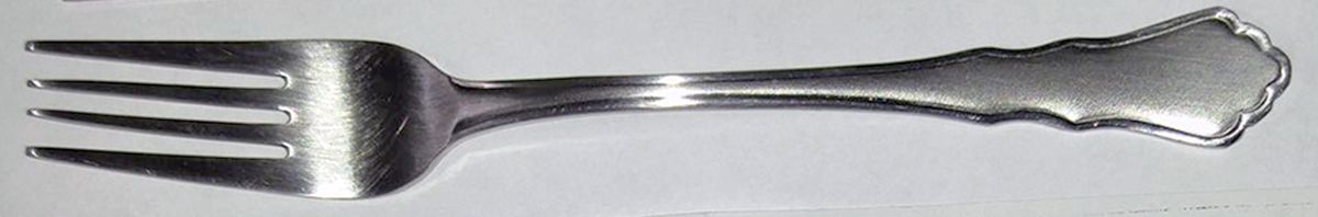 SBB26 (Stainless) Fork by SBS Bestecke-1