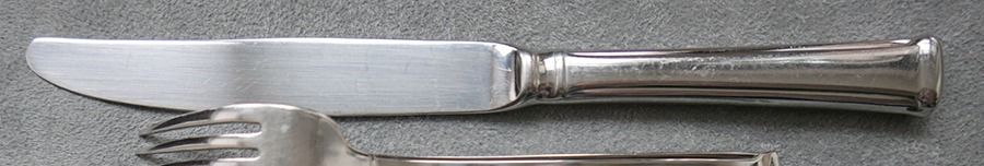 SBI10 (Stainless) Modern Hollow Knife by Sabatier-1