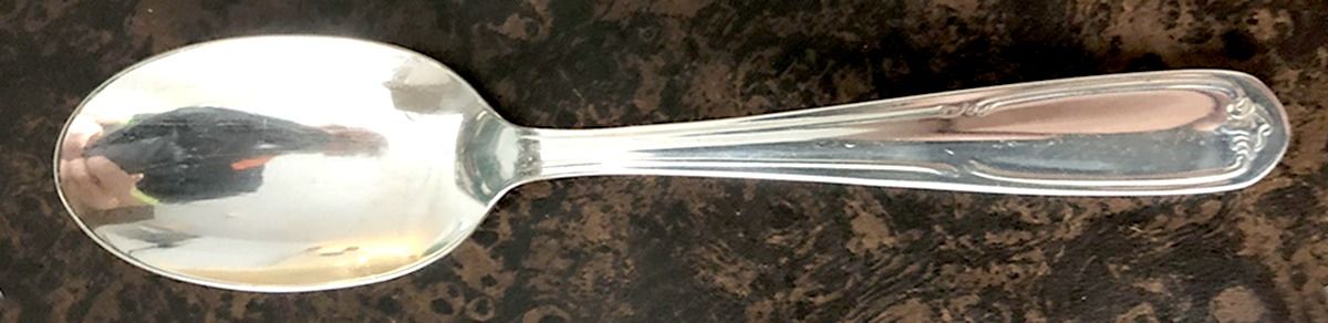 SAM5 (Silverplate) Teaspoon by Sambonet-1