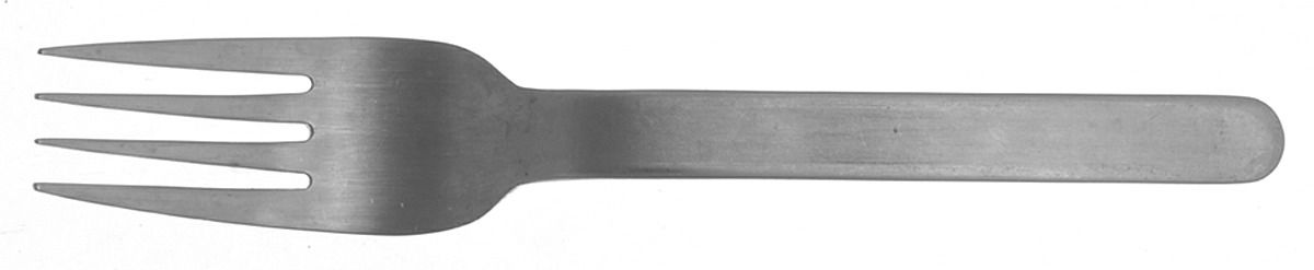 SPL12 (Stainless) Individual Salad Fork by Splendide-1