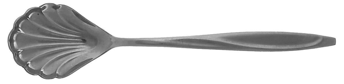 Slim (Stainless) Sugar Shell Spoon by Treasure Chest-1