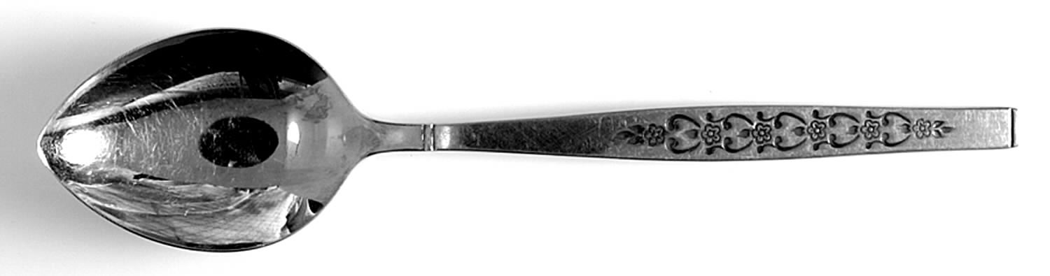 TCS3 (Stainless) Place/Oval Soup Spoon by Treasure Chest-1