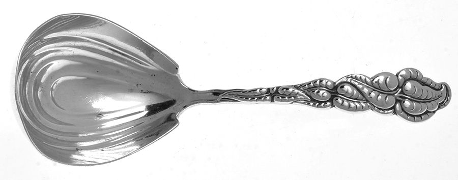 Atlantis-Ailanthus (Sterling, 1899) Tea Caddy Spoon by Tiffany & CO SILVER-1