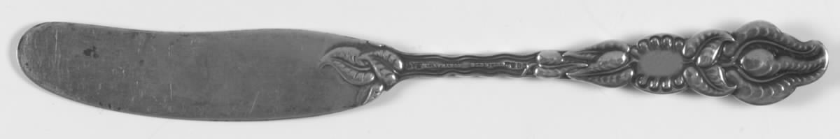 Atlantis-Ailanthus (Sterling, 1899) Flat Handle Butter Spreader by Tiffany & CO SILVER-1