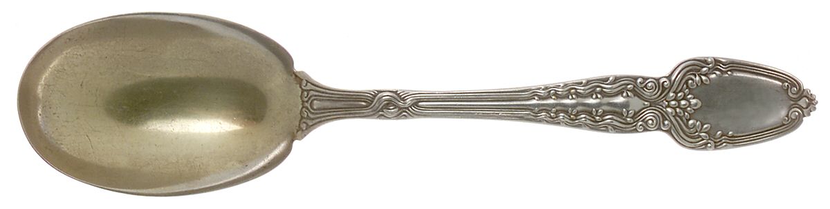 Broom Corn (Sterling, 1890, M-T-C) Large Jelly Spoon by Tiffany & CO SILVER-1