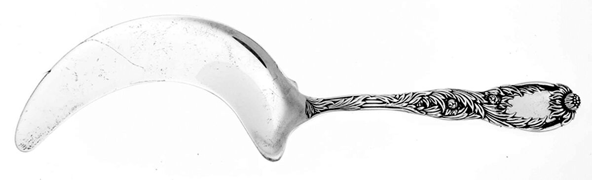 Chrysanthemum (Sterling, 1880) Solid Aspic Server by Tiffany & CO SILVER-1