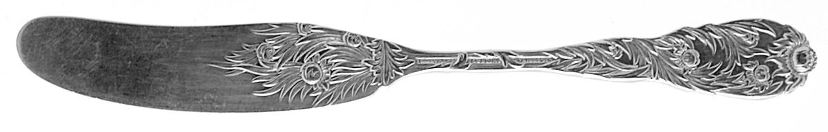 Chrysanthemum (Sterling, 1880) Flat Handle Butter Spreader by Tiffany & CO SILVER-1