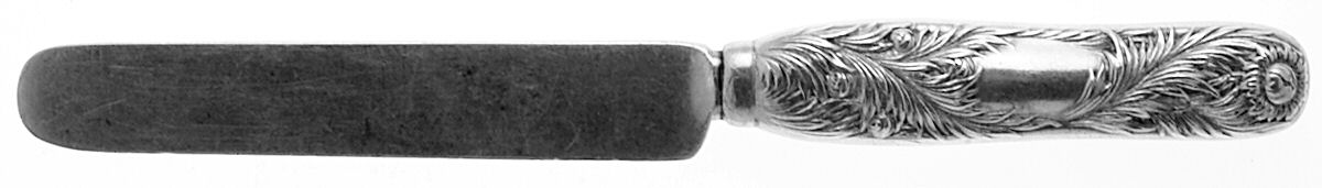 Chrysanthemum (Sterling, 1880) Hollow Handle Youth/Tea Knife with Sterling Blade by Tiffany & CO SILVER-1