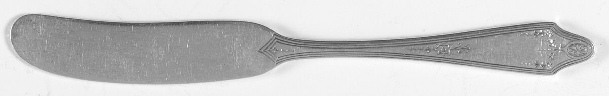 Clinton Engraved (Sterling, No Monograms) Flat Handle Butter Spreader by Tiffany & CO SILVER-1