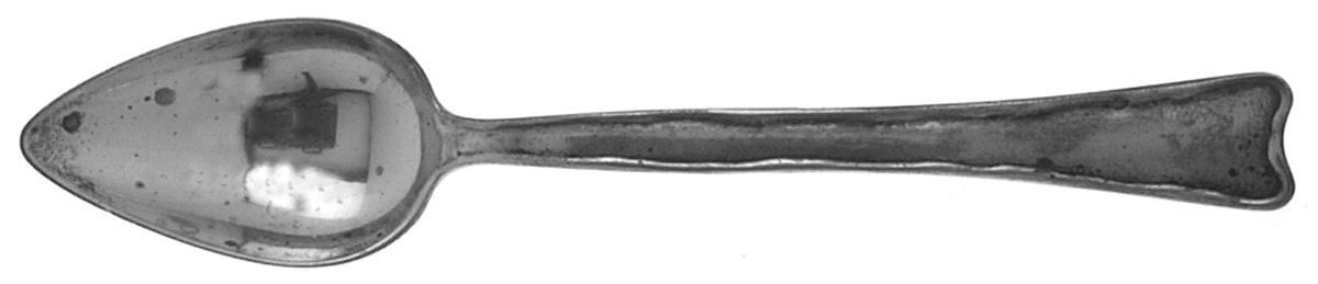 Lap-Over-Edge (Sterling, 1880) Fruit/Orange Spoon by Tiffany & CO SILVER-1