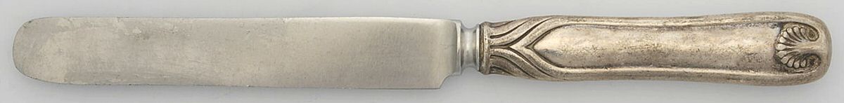 Palm (Sterling, 1871) Breakfast Knife with Stainless Blade by Tiffany & CO SILVER-1