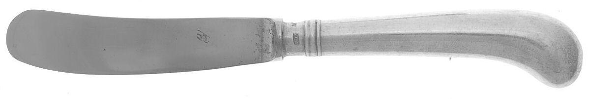 Rat Tail (Sterling, 1958) Butter Spreader Hollow Hdl-Paddle/Stainless Blade by Tiffany & CO SILVER-1
