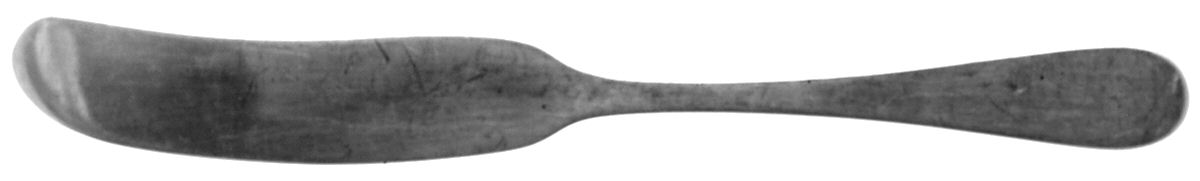 Salem (Sterling, 1956) Flat Handle Butter Spreader by Tiffany & CO SILVER-1