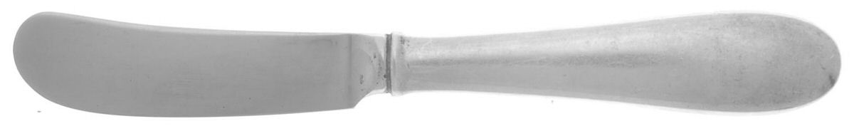 Salem (Sterling, 1956) Butter Spreader Hollow Hdl-Paddle/Stainless Blade by Tiffany & CO SILVER-1