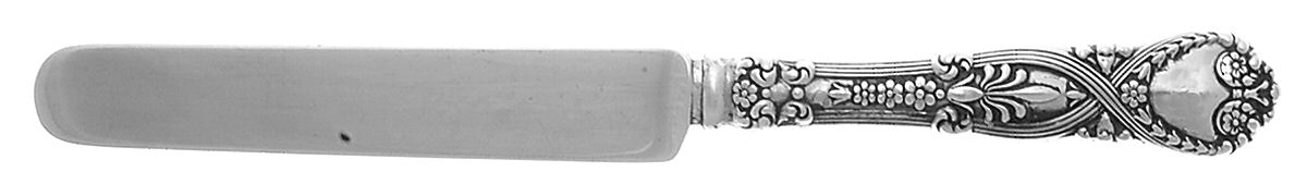 St. James (Sterling, 1898, No Monograms) Hollow Handle Youth/Tea Knife with Sterling Blade by Tiffany & CO SILVER-1