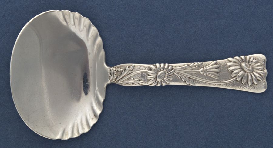 Vine-Multi Motif (Sterling, 1872) Bon Bon Spoon with Fluted Bowl by Tiffany & CO SILVER-1