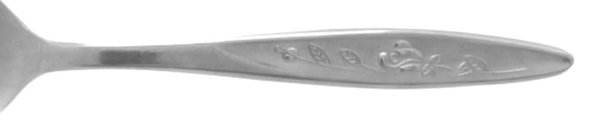 TNH1 (STAINLESS) Teaspoon by Towne Hall-1