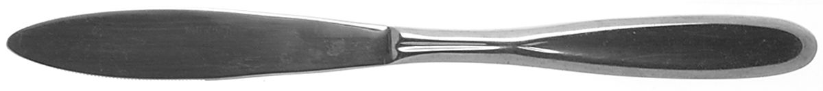 Aaragon (Stainless) Modern Solid Knife by Tools of The Trade-1