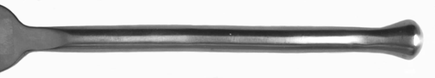 Exotique Platinum (Stainless) Fork by Trupco-1