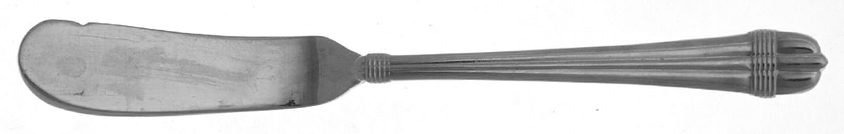 Amante (Stainless) Flat Handle Butter Spreader by Towle Silver-1
