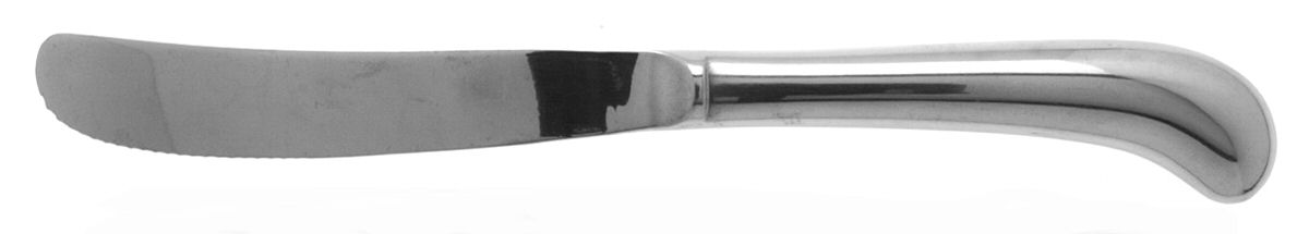 Ashley (Stainless, Restaurant) Blunt Hollow Pistol Knife by Towle Silver-1
