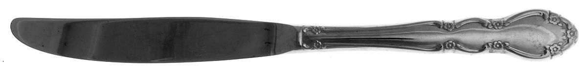 Baroness (Stainless) Modern Hollow Knife by Towle Silver-1