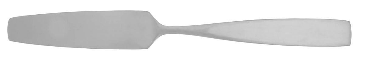 Bedford (Stainless) Master Butter Spreader, Solid Piece by Towle Silver-1