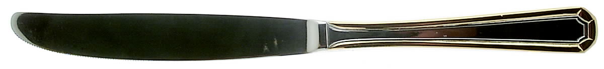 Beacon Hill (Stainless, Gold Accent) Modern Solid Knife by Towle Silver-1