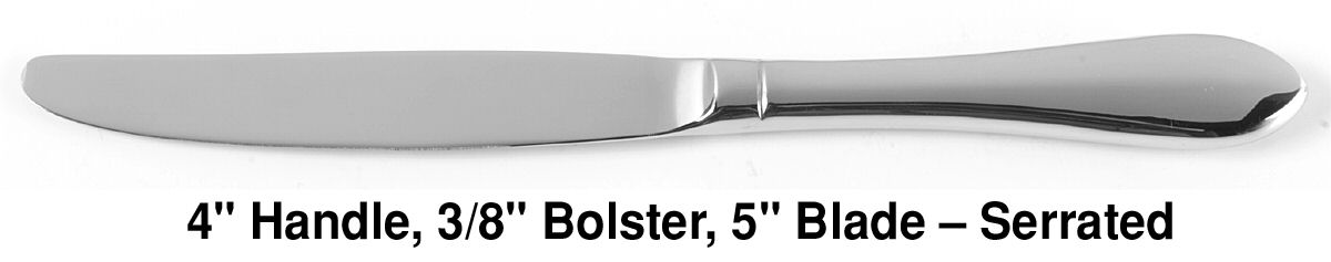 Boston Antique (Stainless, Glossy) Continental Modern Hollow Knife by Towle Silver-1
