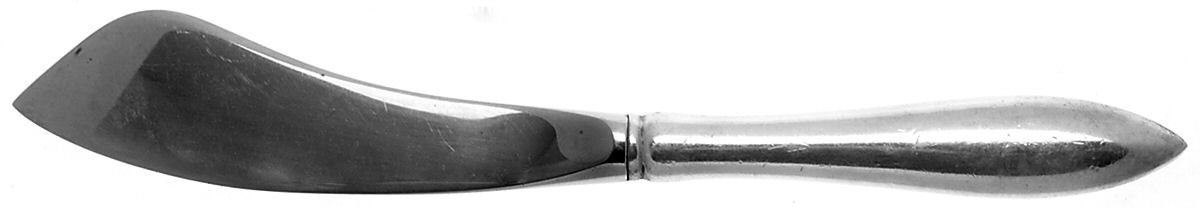 Boston Antique (Silverplate) Hollow Handle Master Butter Knife by Towle Silver-1